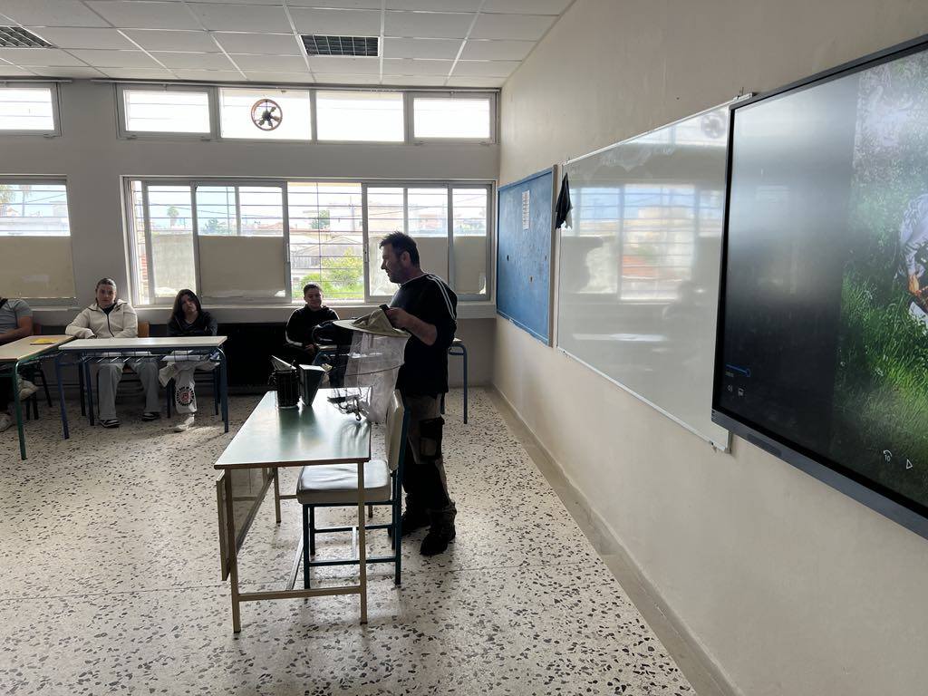 491380987 1123213939609366 1684402720942988872 n 1