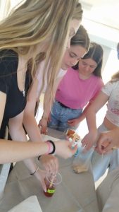 495966714 1144050747525685 5688333758180079518 n 1 577x1024