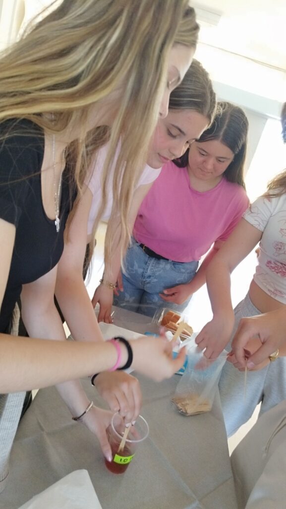 495966714 1144050747525685 5688333758180079518 n 1 577x1024