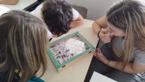 496001450 1144220624175364 6090520516281724131 n 768x432