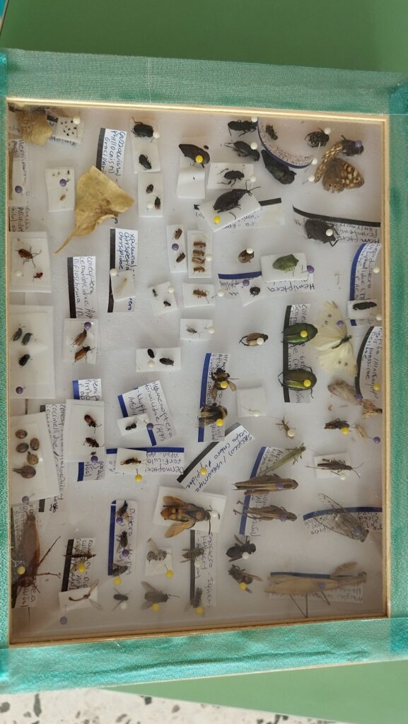 496009638 1144220657508694 8579407425105622230 n 577x1024