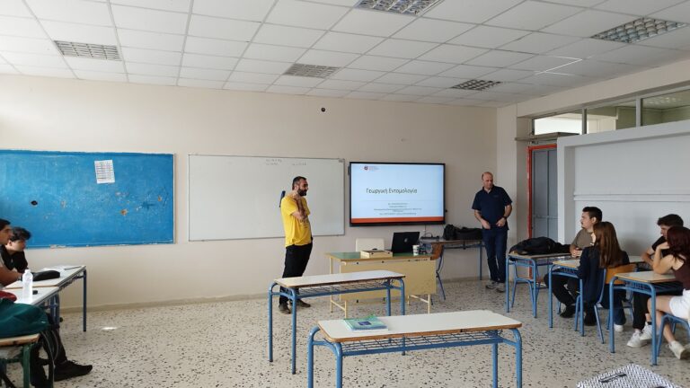 497526844 1144220034175423 5910462481840765969 n 768x432