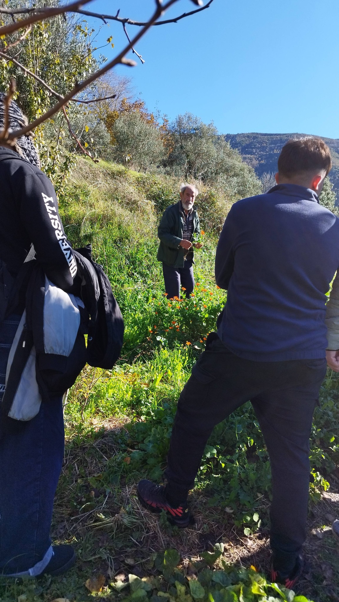 595954024 1312193417378083 4485405141814286405 n