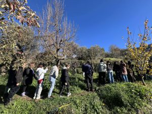 597259454 1312193744044717 4722415246884437727 n