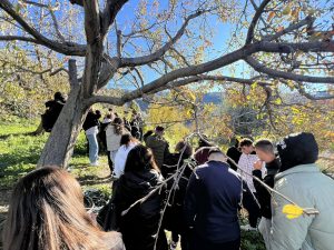 597387437 1312193574044734 7423085700614914753 n