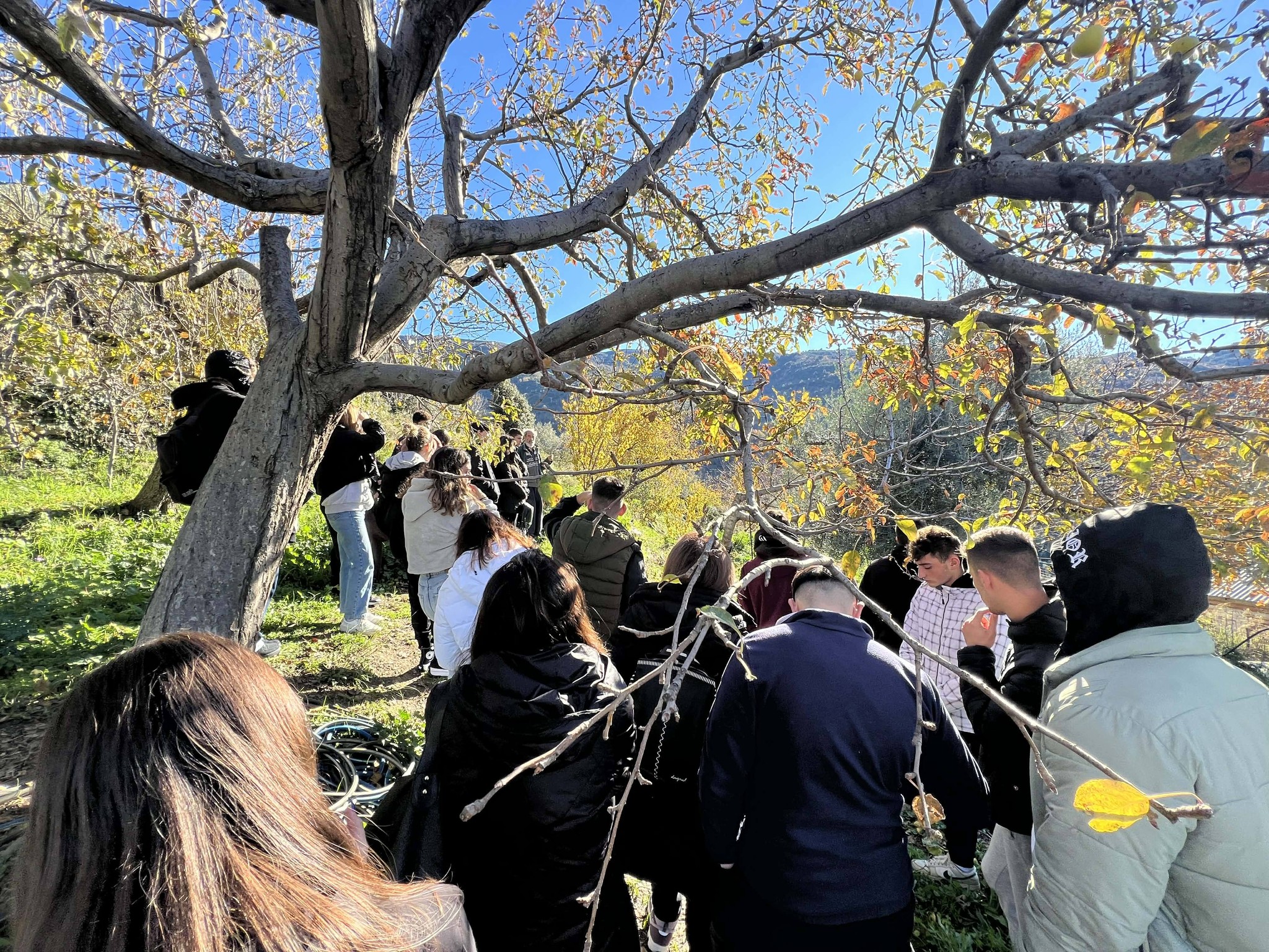 597387437 1312193574044734 7423085700614914753 n